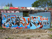 833768 Afbeelding van een graffitikunstwerk uit 2017, op een muur langs het terrein van het voormalige ...